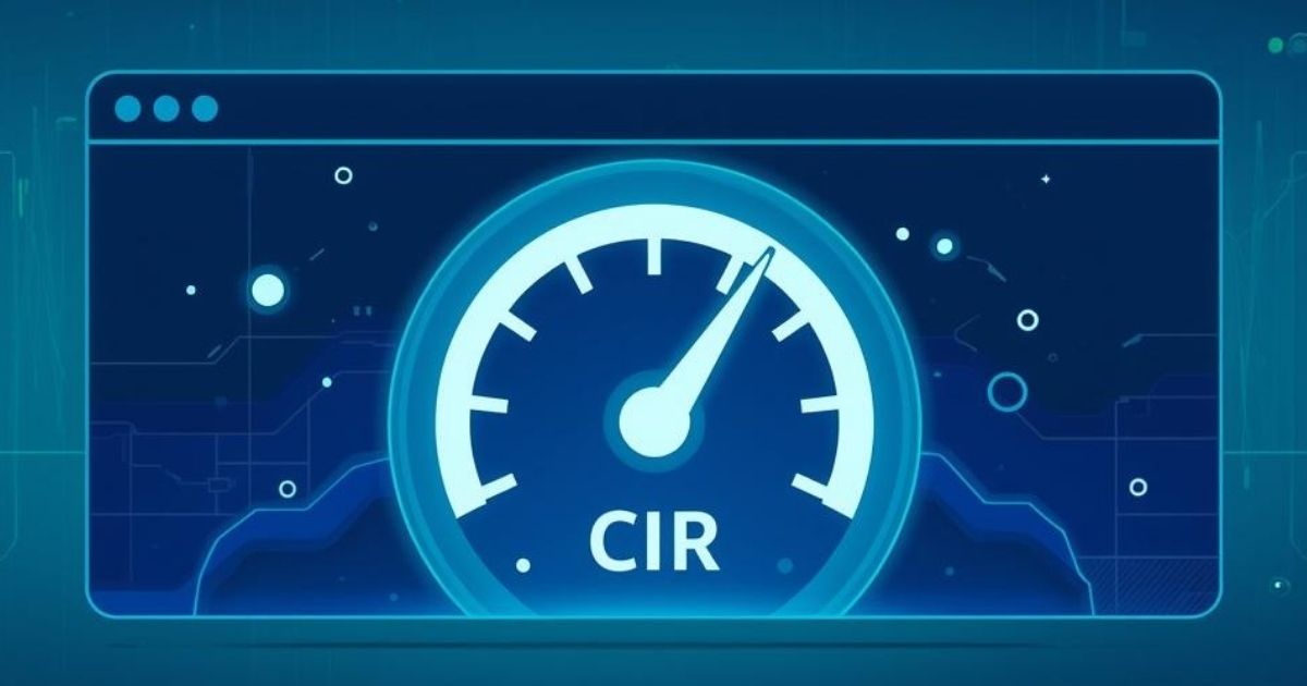 CIR pada Internet Bisnis